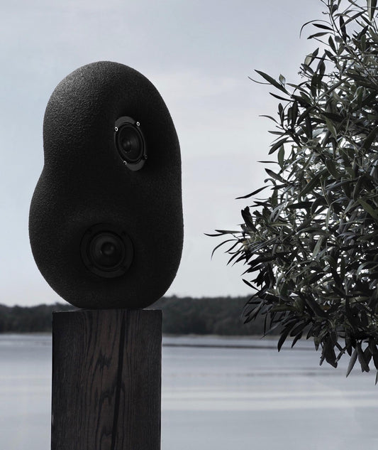 Acoustic Sculpture