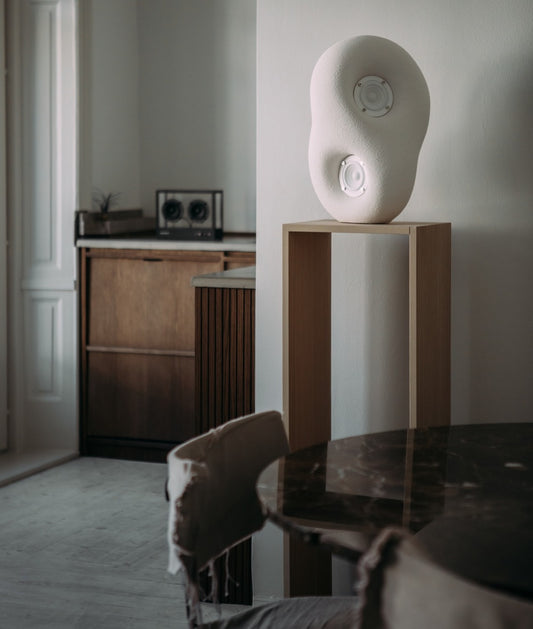 Acoustic Sculpture