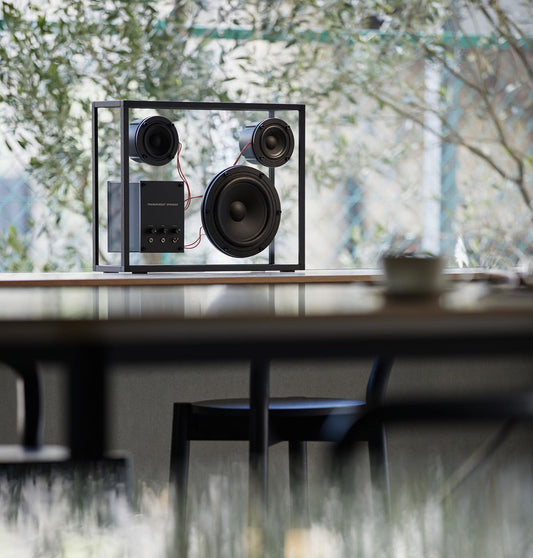 Transparent Speaker